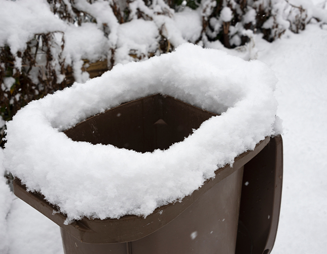 How to compost and recycle in winter?